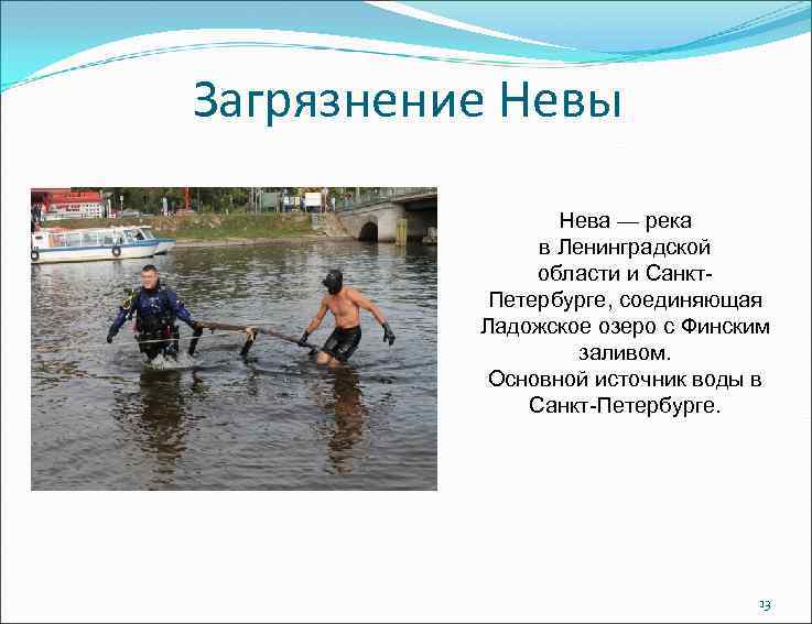 Загрязнение Невы Нева — река в Ленинградской области и Санкт. Петербурге, соединяющая Ладожское озеро