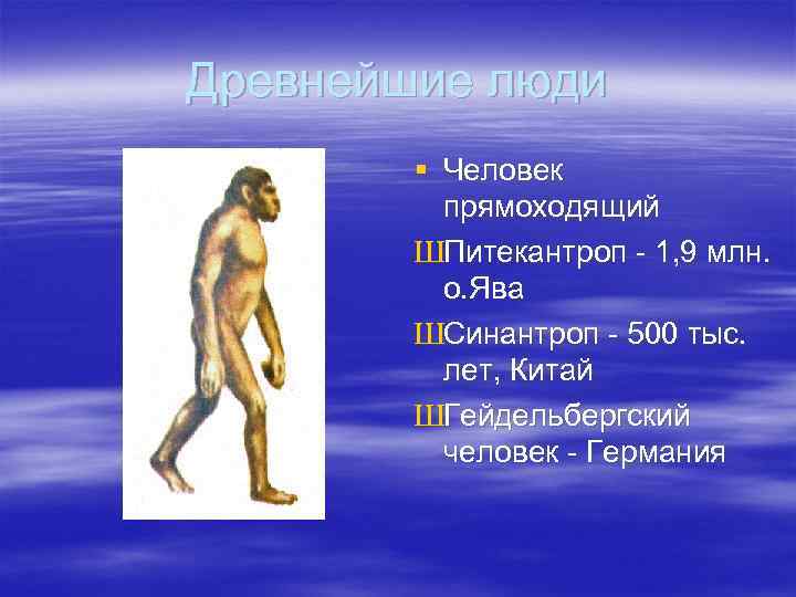 Древнейшие люди § Человек прямоходящий ШПитекантроп - 1, 9 млн. о. Ява ШСинантроп -