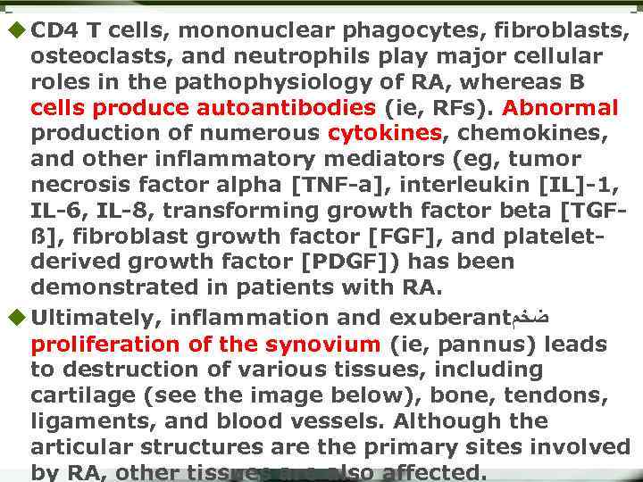 u CD 4 T cells, mononuclear phagocytes, fibroblasts, osteoclasts, and neutrophils play major cellular