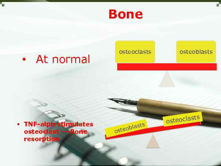 Bone • At normal § TNF-alph stimulates osteoclast ---Bone resorption osteoclasts st eobla ost