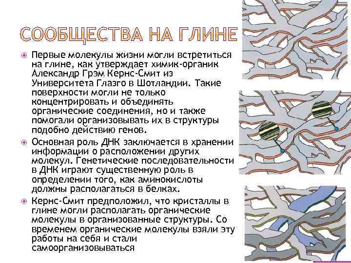  Первые молекулы жизни могли встретиться на глине, как утверждает химик-органик Александр Грэм Кернс-Смит
