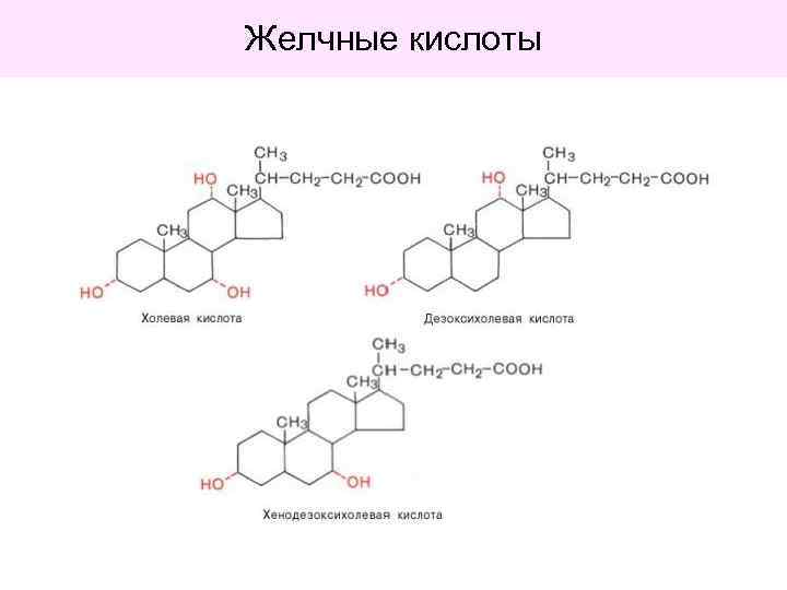 Желчные кислоты 