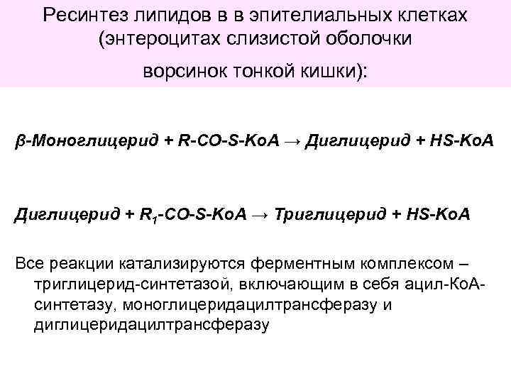 Ресинтез липидов в в эпителиальных клетках (энтероцитах слизистой оболочки ворсинок тонкой кишки): β-Моноглицерид +