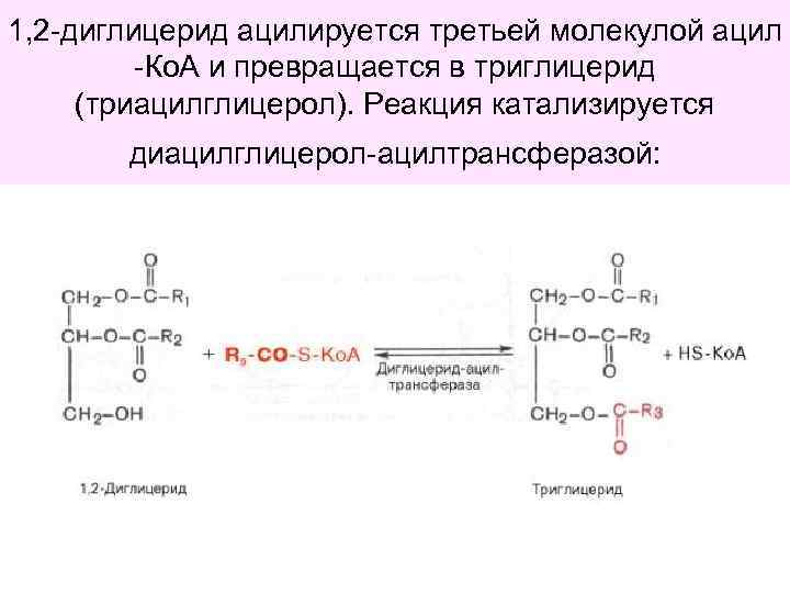 Моно и диглицериды жирных кислот что это