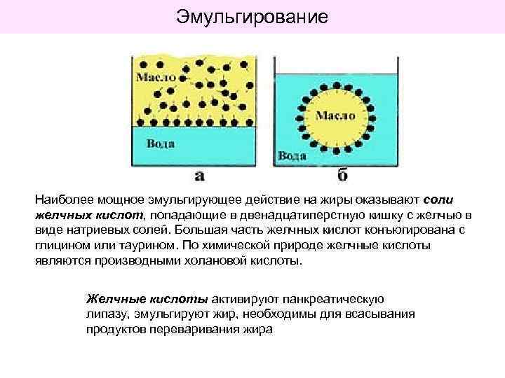 Эмульгирование Наиболее мощное эмульгирующее действие на жиры оказывают соли желчных кислот, попадающие в двенадцатиперстную