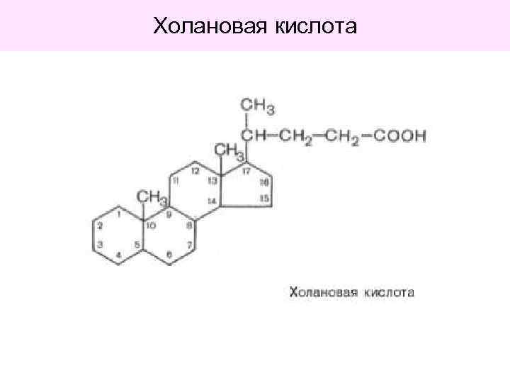 Холановая кислота 