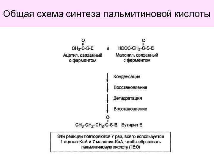 Кислоты схема