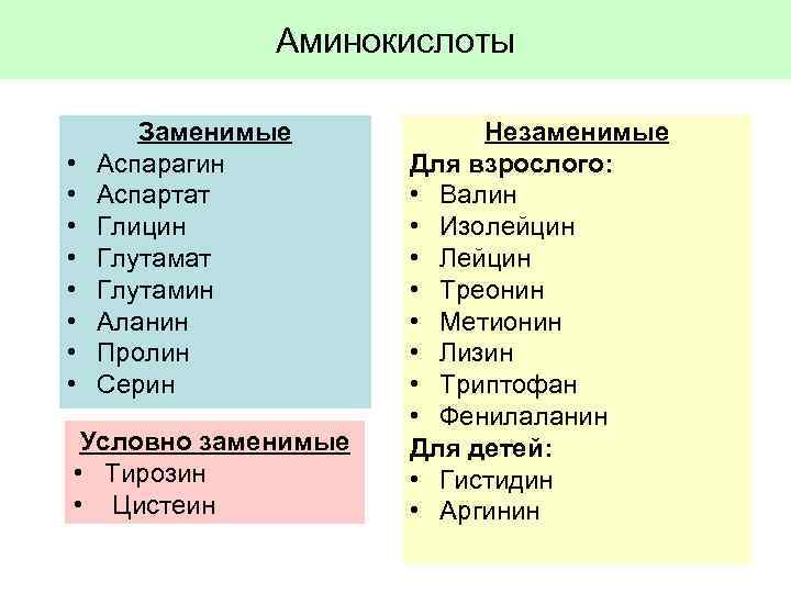 Аминокислоты • • Заменимые Аспарагин Аспартат Глицин Глутамат Глутамин Аланин Пролин Серин Условно заменимые
