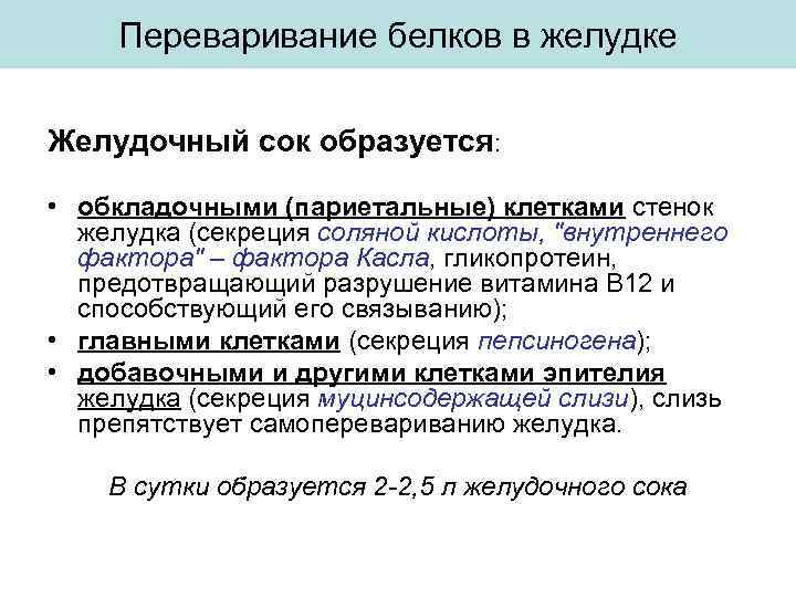 Роль соляной кислоты в переваривании белка. Переваривание белков в желудке.