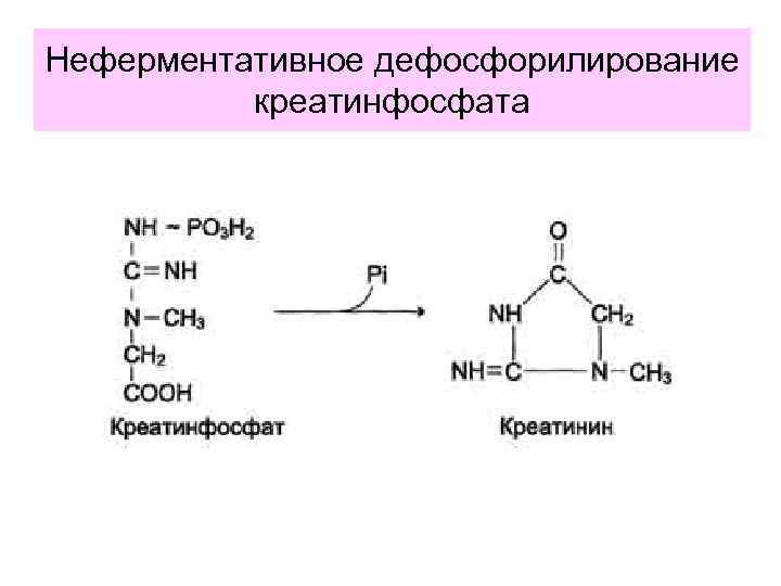 Неферментативное дефосфорилирование креатинфосфата 