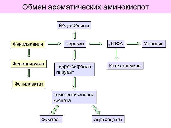 Цикл 23