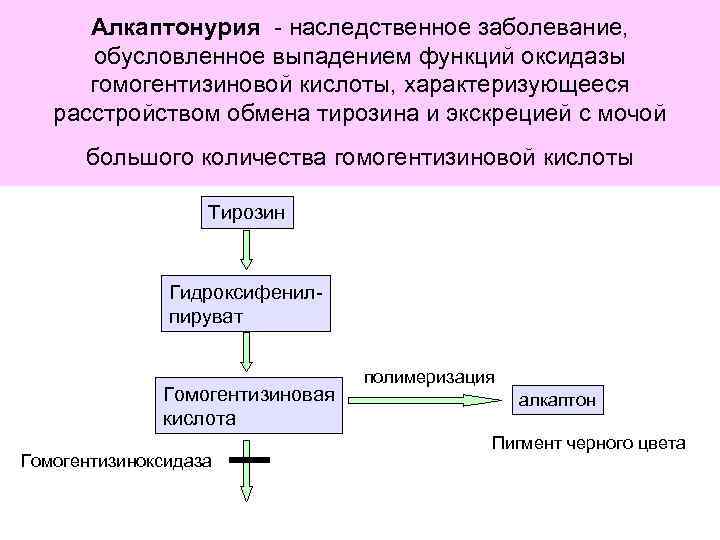 Алкаптонурия - наследственное заболевание, обусловленное выпадением функций оксидазы гомогентизиновой кислоты, характеризующееся расстройством обмена тирозина