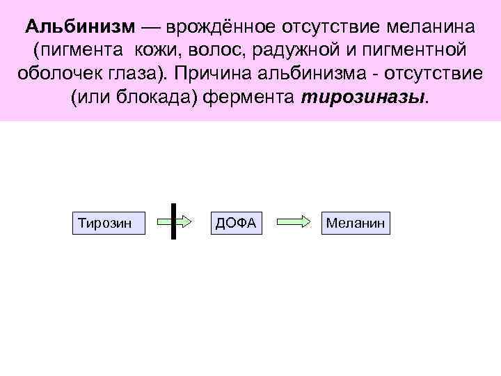 Альбинизм — врождённое отсутствие меланина (пигмента кожи, волос, радужной и пигментной оболочек глаза). Причина