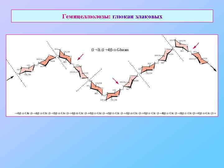 Гемицеллюлозы: глюкан злаковых 