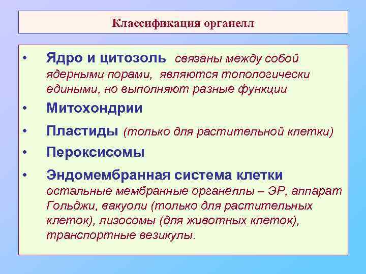 Классификация органелл • Ядро и цитозоль связаны между собой ядерными порами, являются топологически едиными,