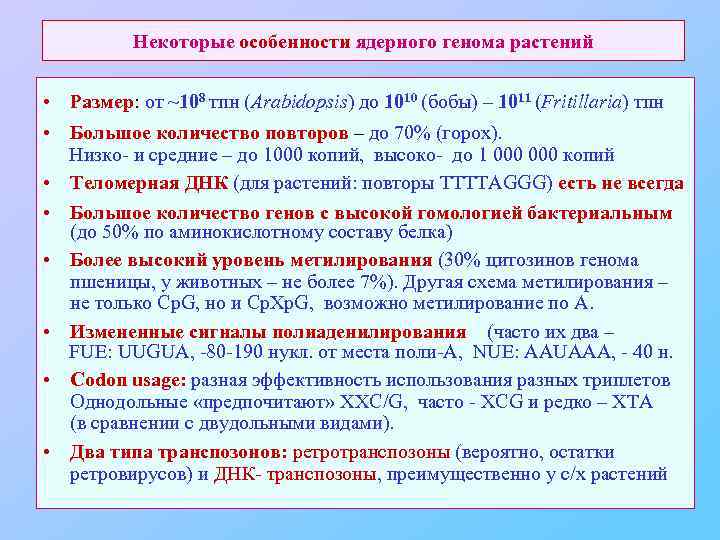 Некоторые особенности ядерного генома растений • Размер: от ~108 тпн (Arabidopsis) до 1010 (бобы)