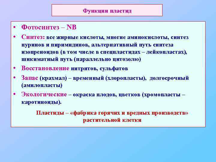 Функции пластид • Фотосинтез – NB • Синтез: все жирные кислоты, многие аминокислоты, синтез