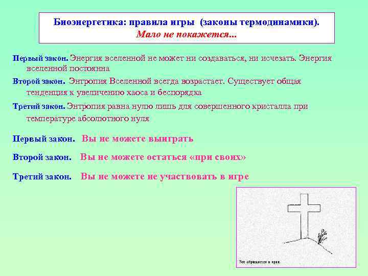Биоэнергетика: правила игры (законы термодинамики). Мало не покажется. . . Первый закон. Энергия вселенной