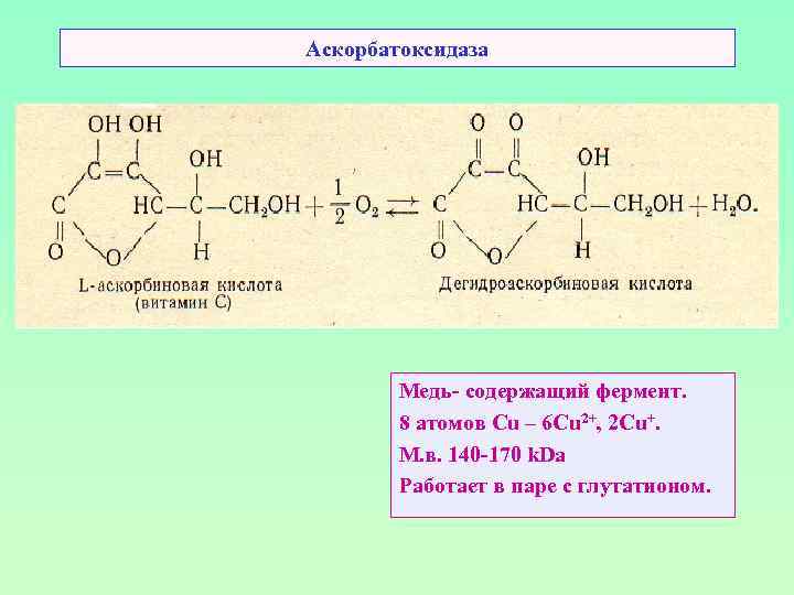 Аскорбатоксидаза Медь- содержащий фермент. 8 атомов Cu – 6 Cu 2+, 2 Cu+. М.