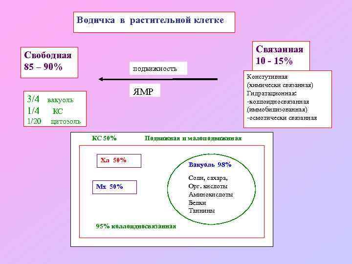 Водичка в растительной клетке Свободная 85 – 90% подвижность Констутивная (химически связанная) Гидратационная: -коллоидносвязанная