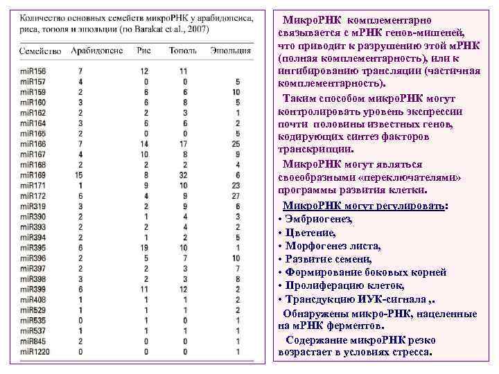 Микро. РНК комплементарно связывается с м. РНК генов-мишеней, что приводит к разрушению этой м.
