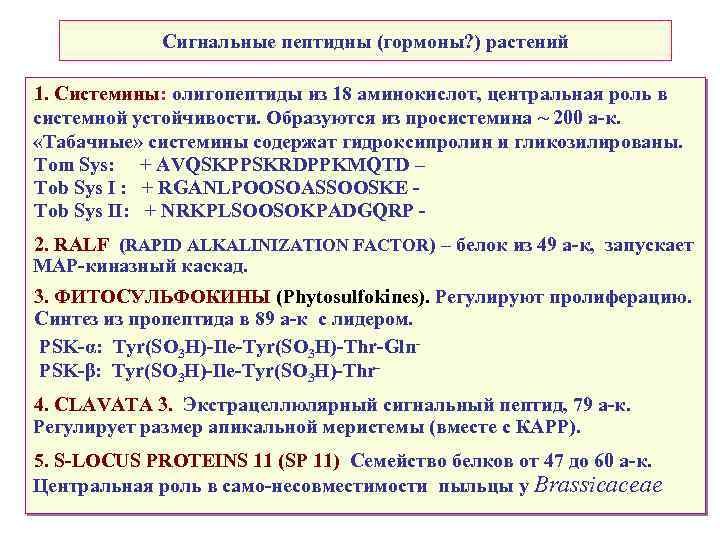 Сигнальные пептидны (гормоны? ) растений 1. Системины: олигопептиды из 18 аминокислот, центральная роль в