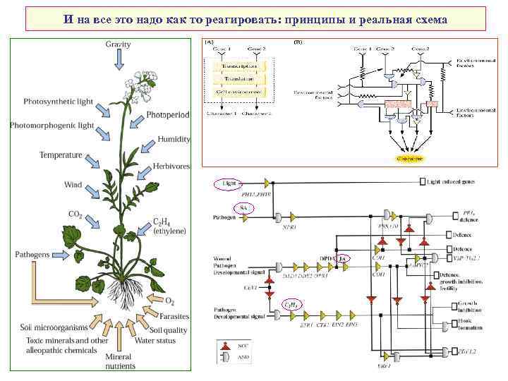 И на все это надо как то реагировать: принципы и реальная схема 