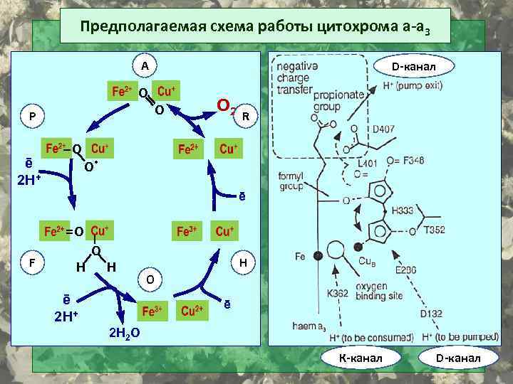 A0289974548 на схеме