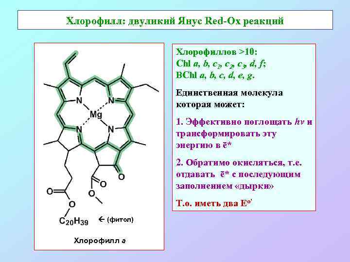 Хлорофилл: двуликий Янус Red-Ox реакций Хлорофиллов >10: Chl а, b, c 1, с2, с3,