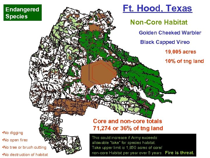 Endangered Species Ft. Hood, Texas Non-Core Habitat Golden Cheeked Warbler Black Capped Vireo 19,