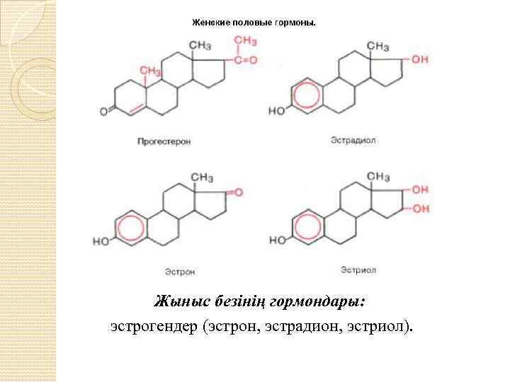 Жыныс безінің гормондары: эстрогендер (эстрон, эстрадион, эстриол). 