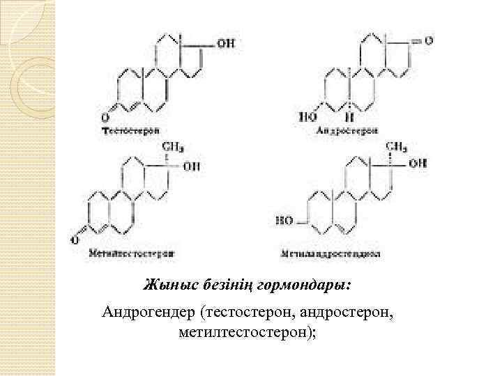 Жыныс безінің гормондары: Андрогендер (тестостерон, андростерон, метилтестостерон); 