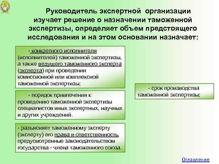 Руководитель экспертной организации изучает решение о назначении таможенной экспертизы, определяет объем предстоящего исследования и