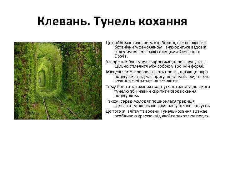 Клевань. Тунель кохання Це найромантичніше місце Волині, яке вважається ботанічним феном і знаходиться вздовж