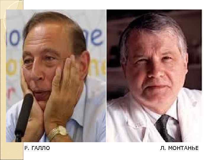 Р. ГАЛЛО Л. МОНТАНЬЕ 