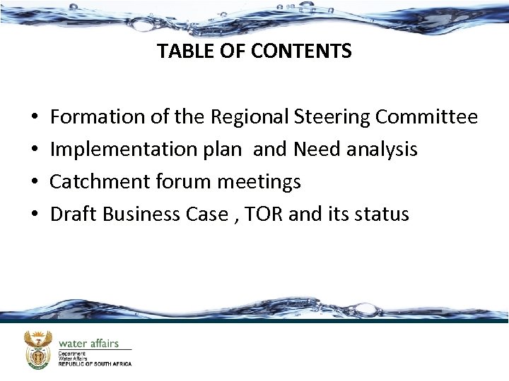 TABLE OF CONTENTS • • Formation of the Regional Steering Committee Implementation plan and