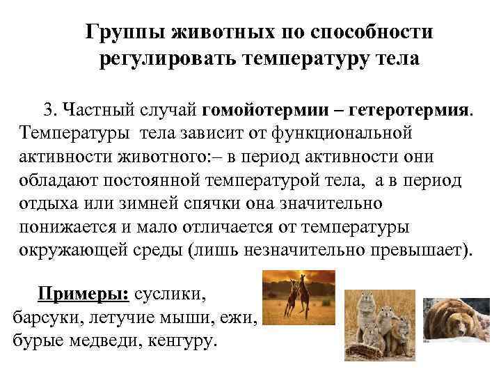 Группы животных по способности регулировать температуру тела 3. Частный случай гомойотермии – гетеротермия. Температуры