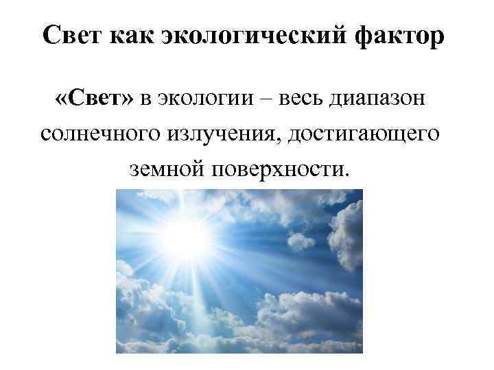 Свет как экологический фактор «Свет» в экологии – весь диапазон солнечного излучения, достигающего земной
