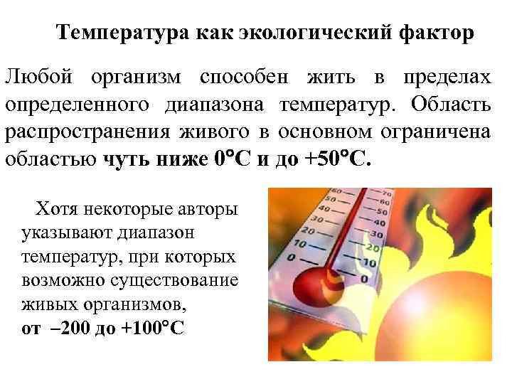 Температура как экологический фактор Любой организм способен жить в пределах определенного диапазона температур. Область