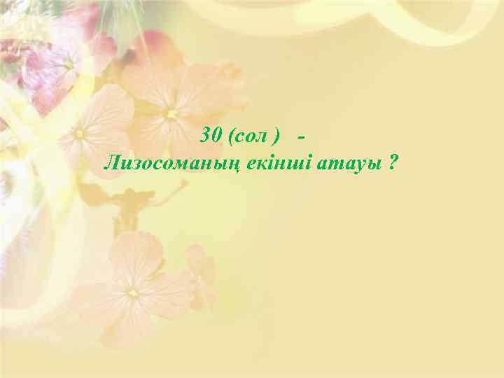 30 (сол ) Лизосоманың екінші атауы ? 