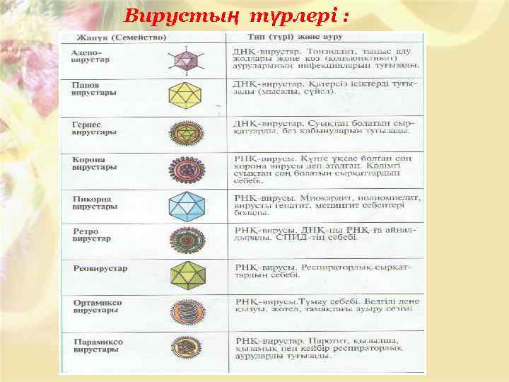 Вирустың түрлері : 