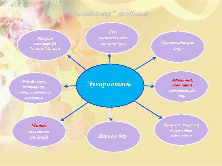 “Мықтылар” тобына Жасуша мөлшері ірі 10 мкм-100 мкм Өсімдіктер , жануарлар, саңырауқұлақтар клеткасы Митоз