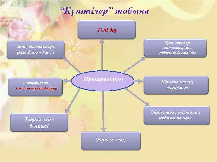 “Күштілер” тобына Гені бар Органоидтар митохондрия , рибосома болмайды Жасуша мөлшері ұсақ 2 мкм-3