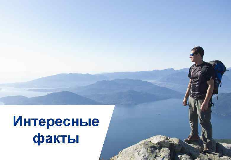Интересные факты 