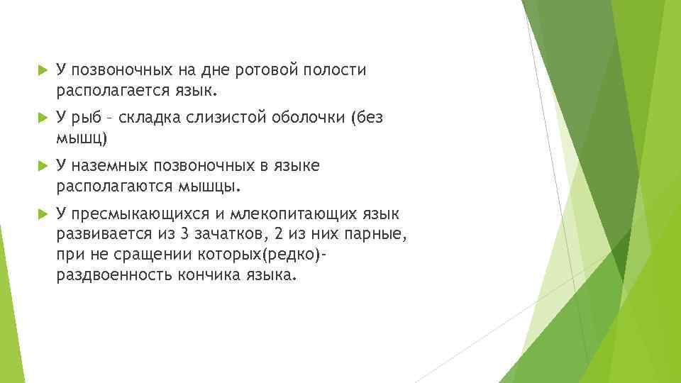  У позвоночных на дне ротовой полости располагается язык. У рыб – складка слизистой