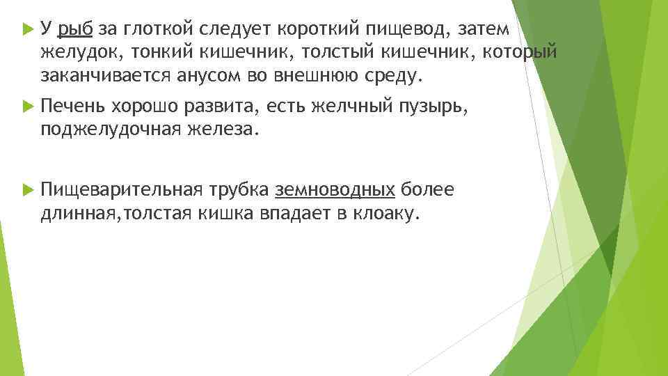  У рыб за глоткой следует короткий пищевод, затем желудок, тонкий кишечник, толстый кишечник,