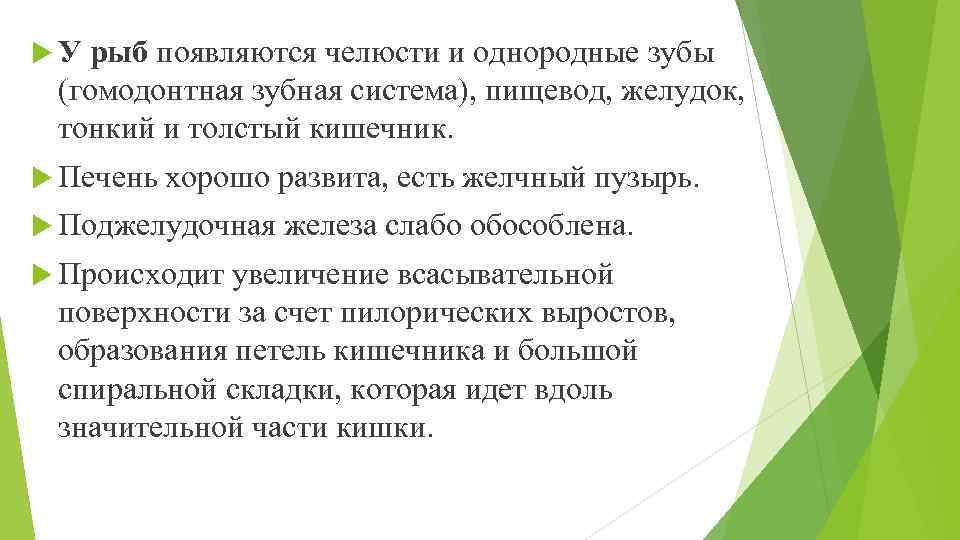  У рыб появляются челюсти и однородные зубы (гомодонтная зубная система), пищевод, желудок, тонкий