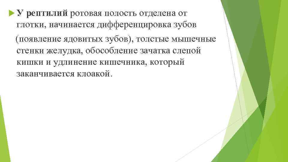  У рептилий ротовая полость отделена от глотки, начинается дифференцировка зубов (появление ядовитых зубов),