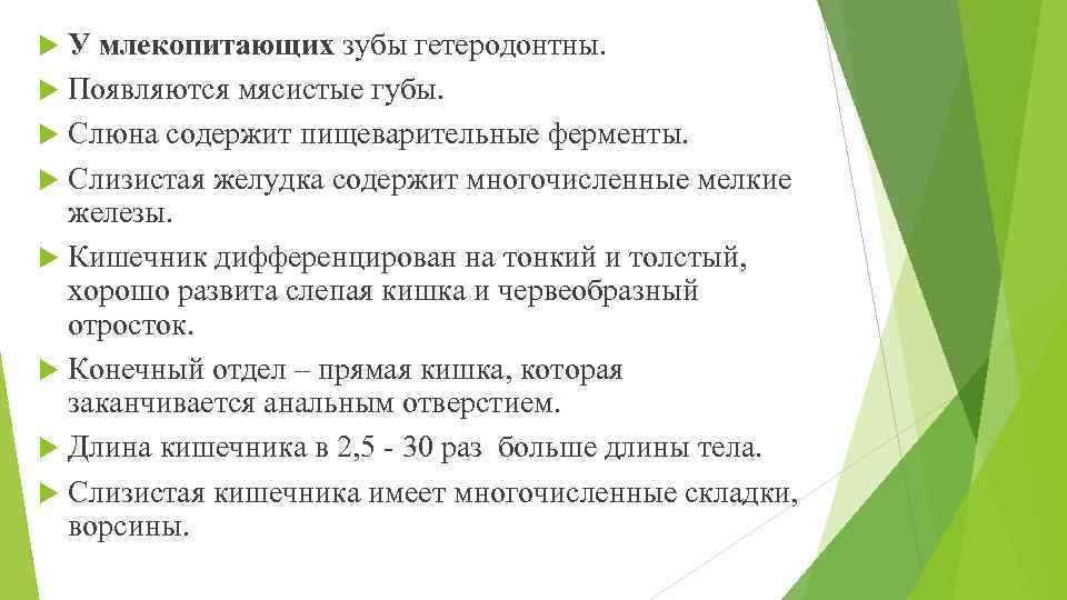 У млекопитающих зубы гетеродонтны. Появляются мясистые губы. Слюна содержит пищеварительные ферменты. Слизистая желудка содержит