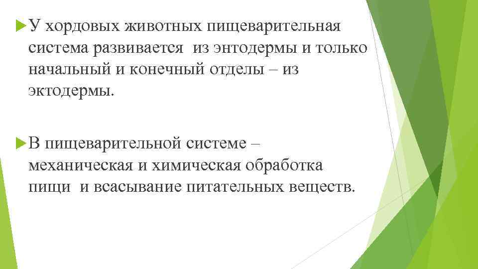  У хордовых животных пищеварительная система развивается из энтодермы и только начальный и конечный